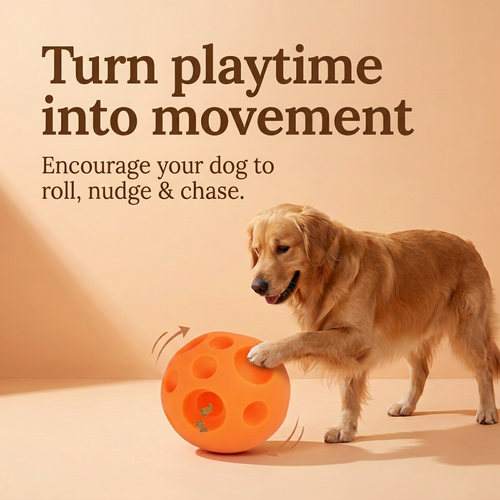 Active play graphic with matching typography